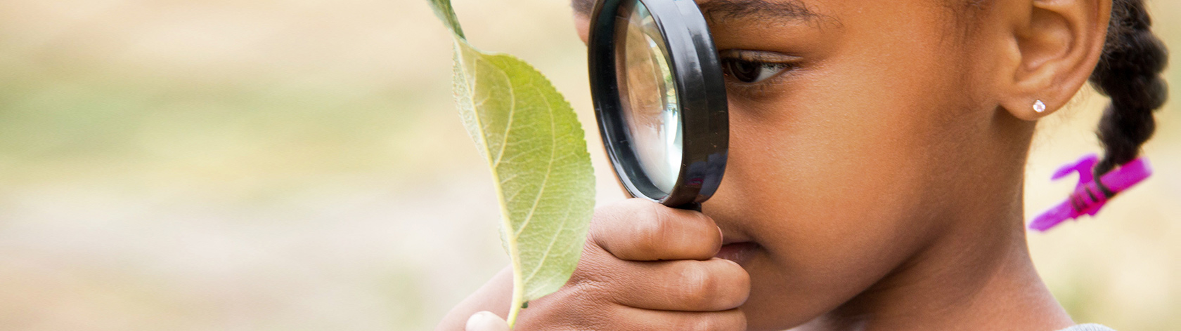 Curious child ispecting a leaf with a magnifying glass